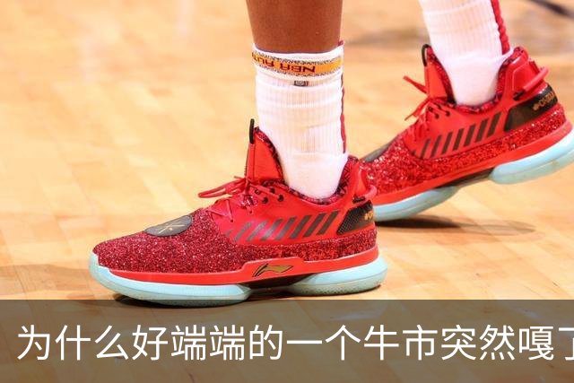 为什么好端端的一个牛市突然嘎了？走成这样子？