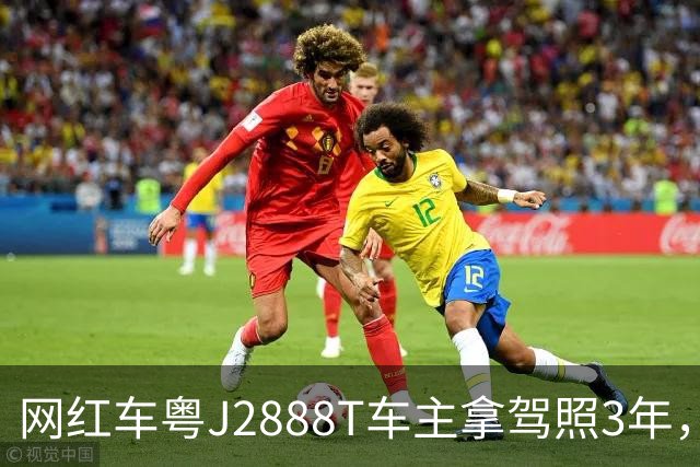 网红车粤J2888T车主拿驾照3年，全车多次维修，伤痕累累！已自驾多地，对自己的车技很有信心