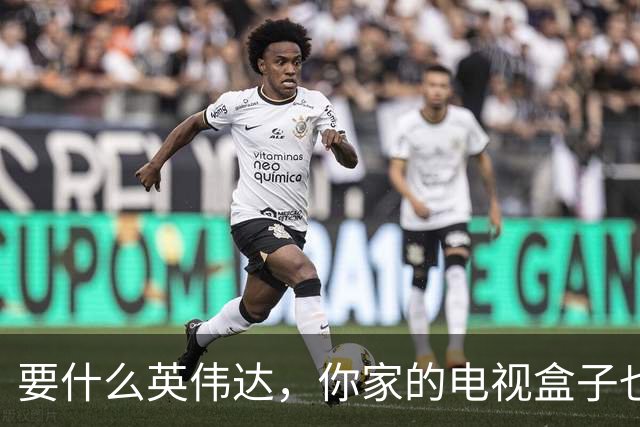 要什么英伟达，你家的电视盒子也能跑大模型。。。